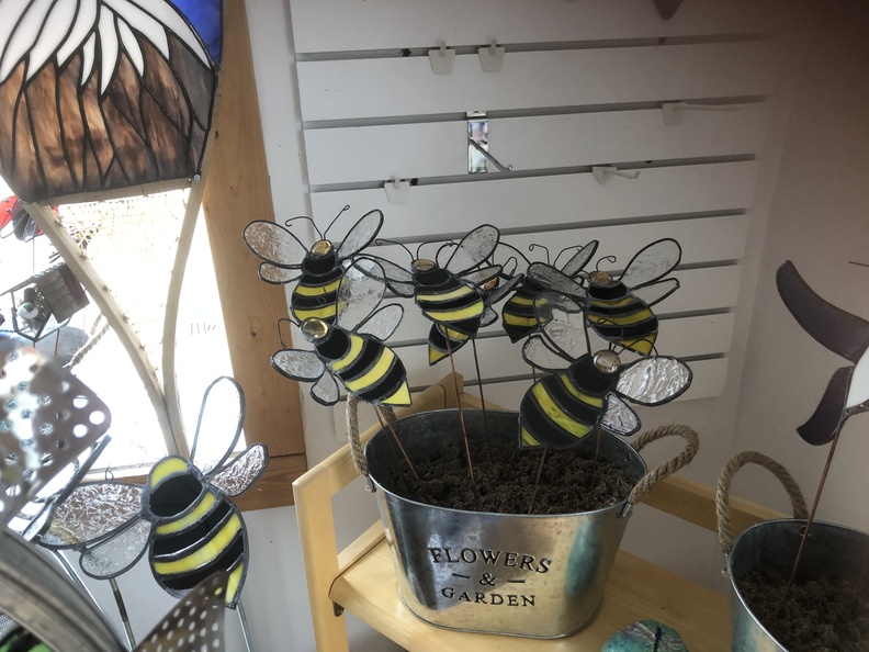 Bumble Bees.jpg