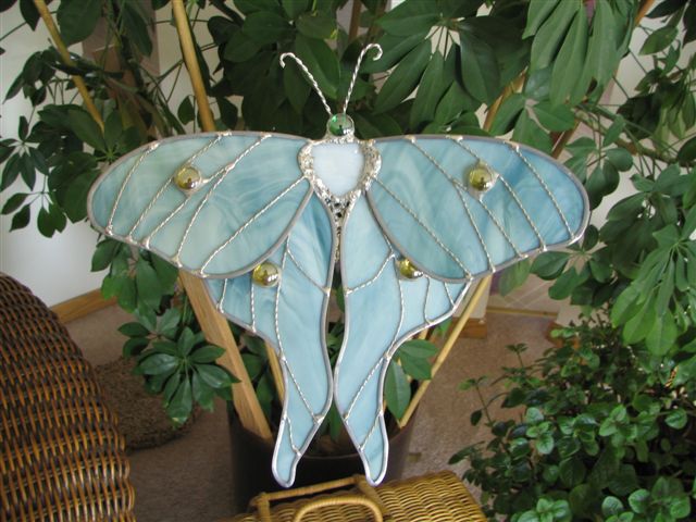 una-moth.jpg